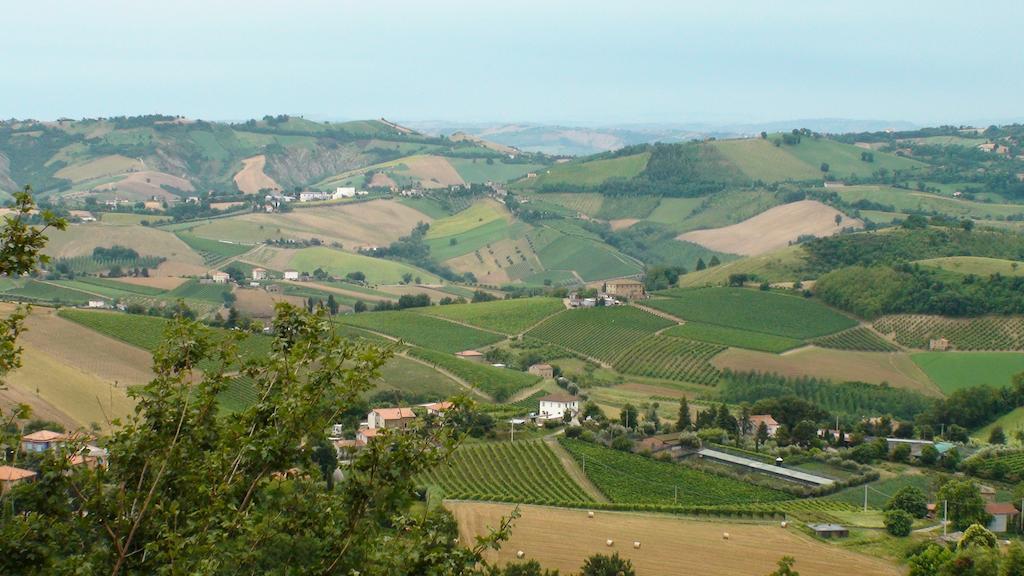 Вилла Agriturismo Il Sentiero Montalto delle Marche Экстерьер фото
